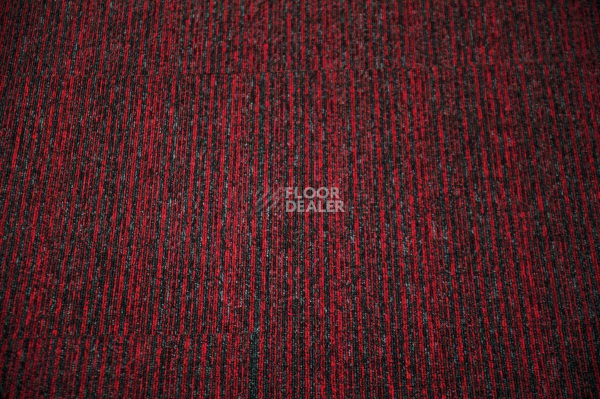 Bonkeel Party Line Redblack фото 2 | FLOORDEALER